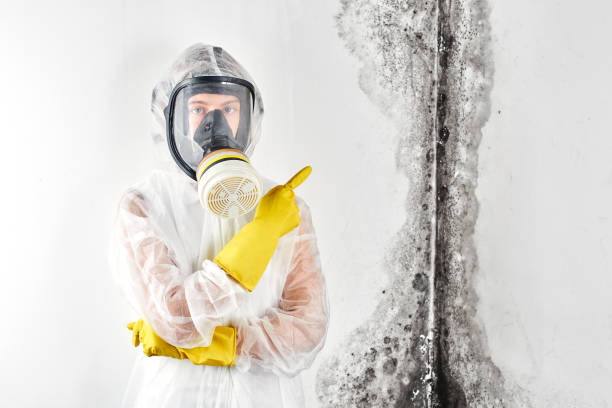 Best Industrial Mold Remediation in Carnegie, OK