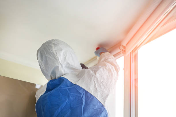 Best Emergency Mold Remediation in Carnegie, OK