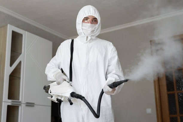 Best Mold Odor Removal Services in Carnegie, OK